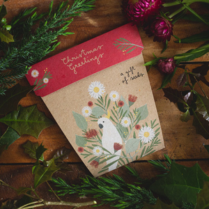 Go-For-Zero-Australia-Sow-n-Sow-Christmas-Greetiings-Gift-of-Seeds-Styled