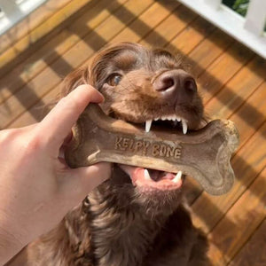 Go-For-Zero-Australia-The-Kelpy-Bone-Home-Compostable-Plastic-Free-Dog-Chew-Toy-Styled-1