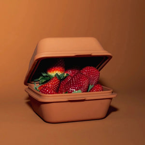 Go-For-Zero-Australia-Togo-Sun-Australia-Reusable-Silicone-Burger-Box-Terracotta-Filled