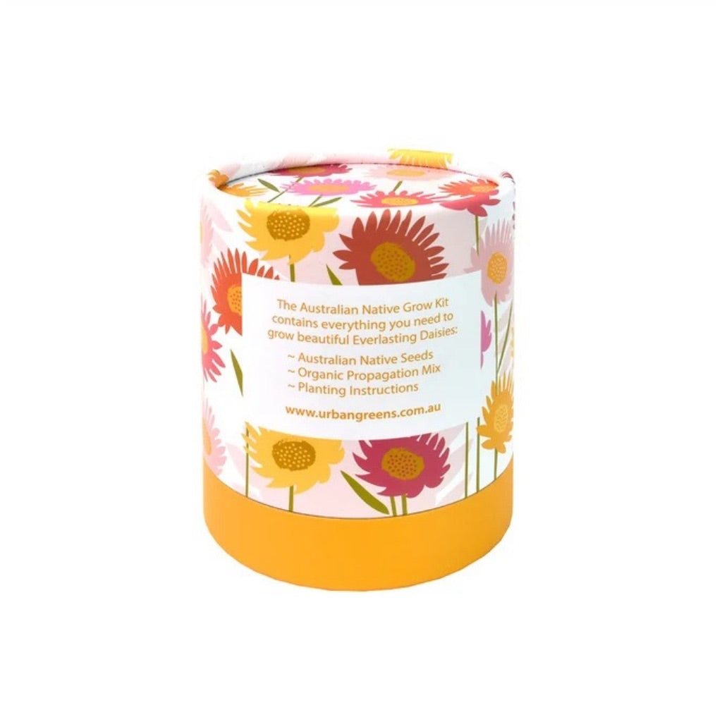 Go-For-Zero-Australia-Urban-Greens-Australia-Australian-Native-Everlasting-Daisies-Grow-Kit-Back