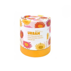 Go-For-Zero-Australia-Urban-Greens-Australia-Australian-Native-Everlasting-Daisies-Grow-Kit-Front