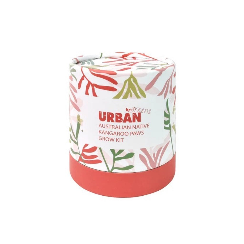 Go-For-Zero-Australia-Urban-Greens-Australia-Australian-Native-Kangaroo-Paws-Grow-Kit