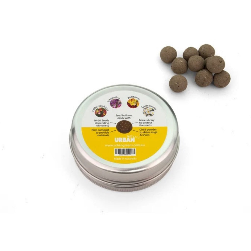 Go-For-Zero-Australia-Urban-Greens-Australia-Bee-Friendly-Flowers-Back