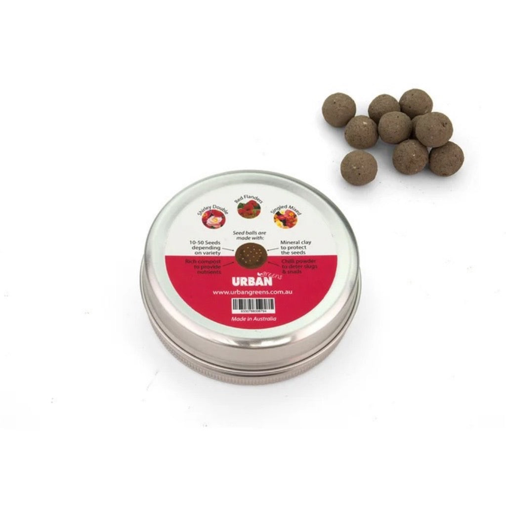 Go-For-Zero-Australia-Urban-Greens-Seed-Balls-Poppy-Back