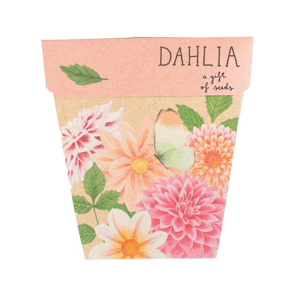 Go-For-Zero-Australia-Sow-N-Sow-Australia-Sweet-Posy-Seed-Gift-Set-Dahlia
