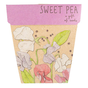 Go-For-Zero-Australia-Sow-N-Sow-Australia-Flower-Seed-Gift-Set-Sweet-Pea