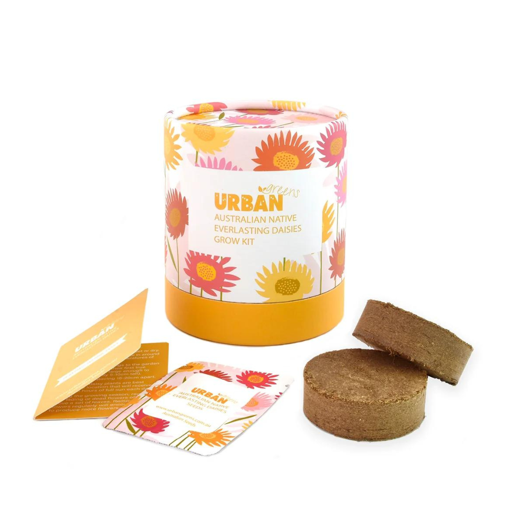 Go-For-Zero-Australia-Urban-Greens-Australia-Australian-Native-Everlasting-Daisies-Grow-Kit