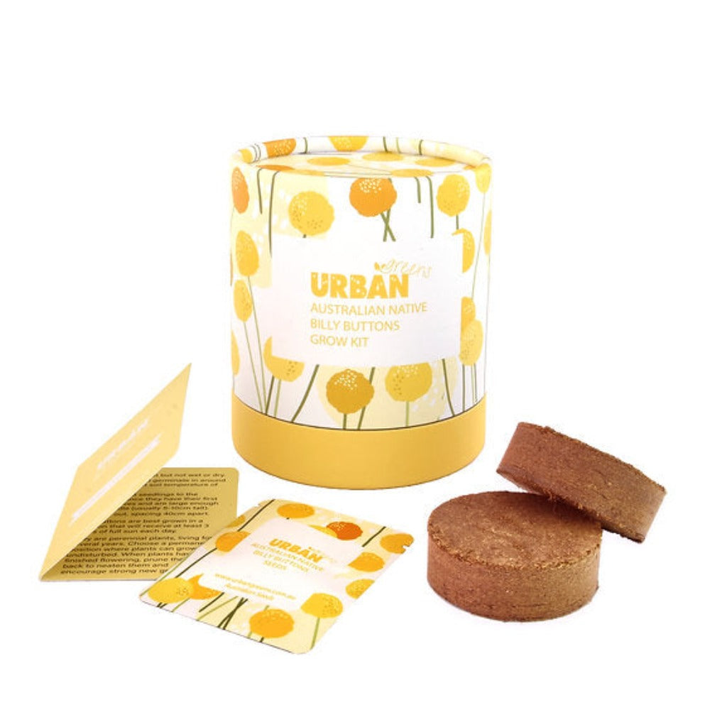 Go-For-Zero-Australia-Urban-Greens-Australia-Australian-Native-Billy-Buttons-Grow-Kit