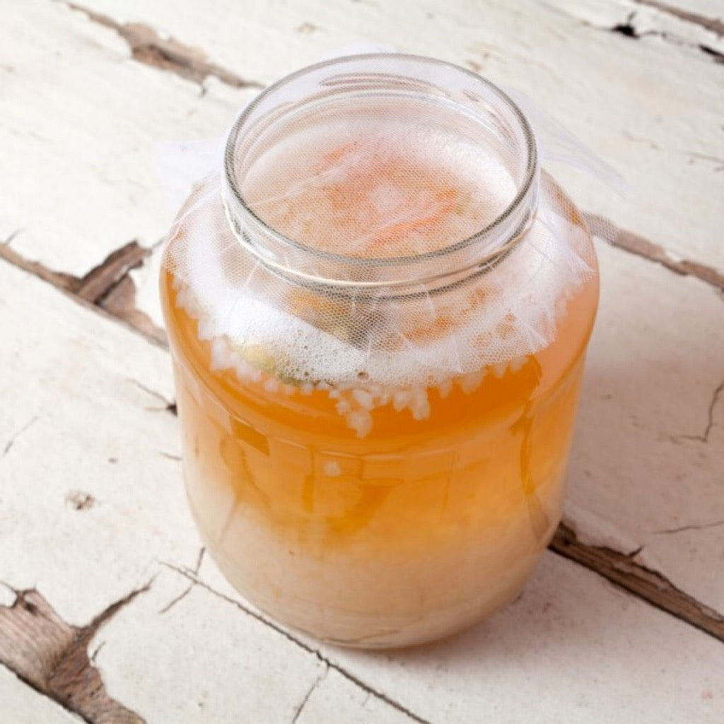 Go-For-Zero-Australia-BUCHI-Home-Brew-Kit-Water-Kefir-2