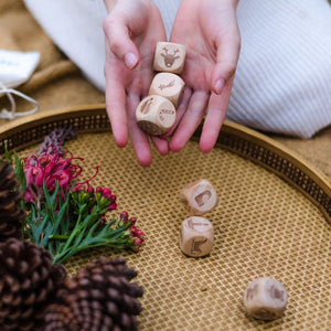Go-For-Zero-Australia-Poppy-And-Daisy-Australia-Christmas-Story-Cubes