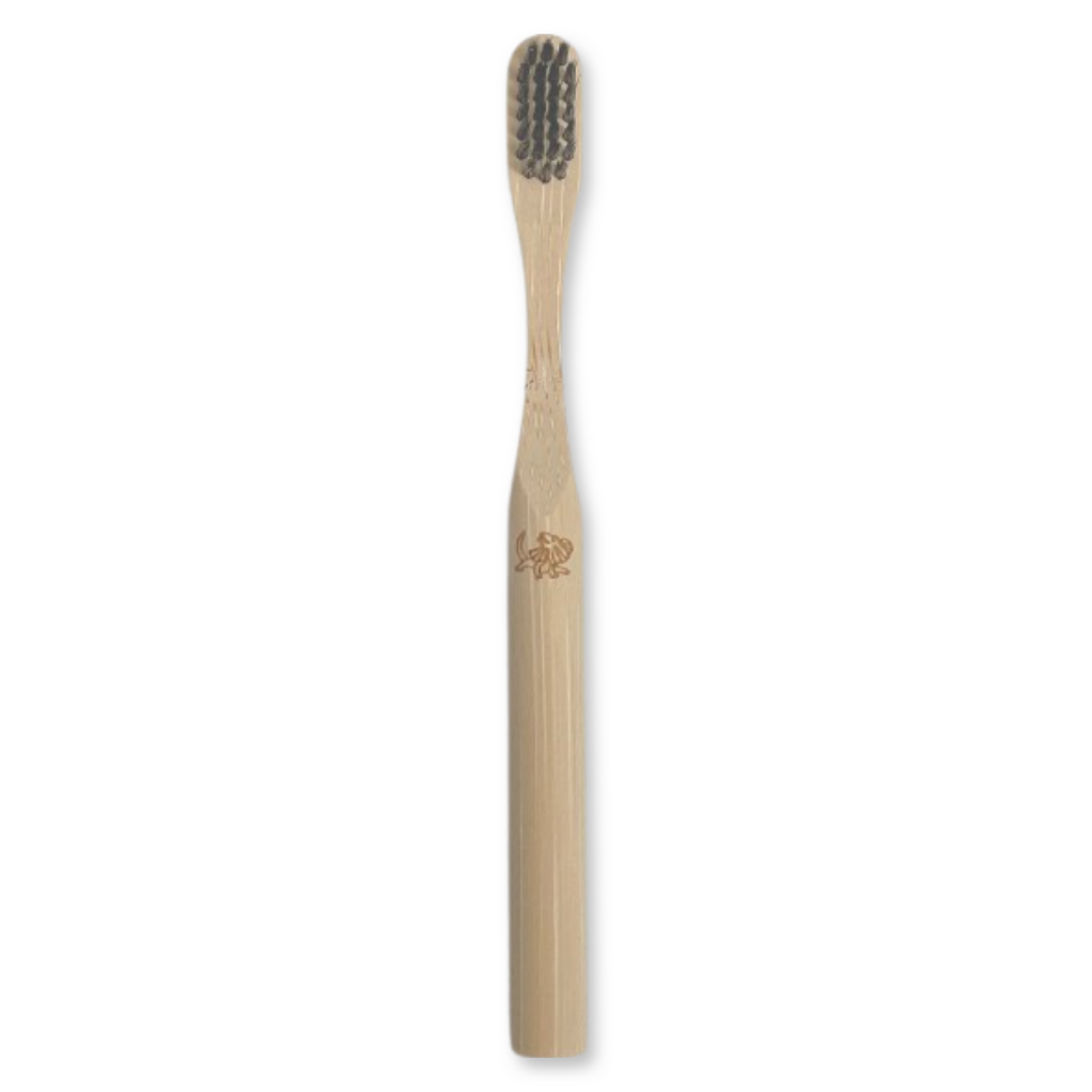 Go-For-Zero-Australia-Bamboo-Kids-Toothbrush-Soft-LIizard