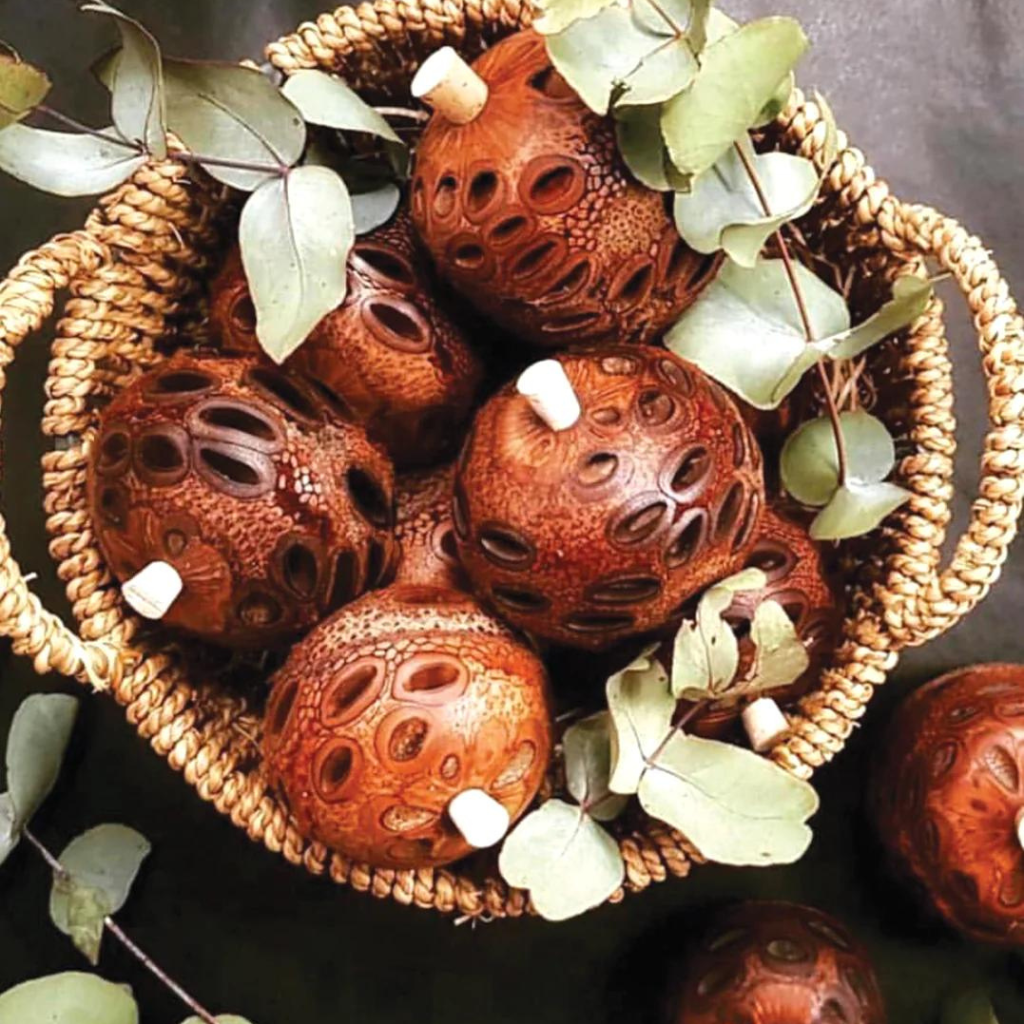 Go-For-Zero-Australia-Banksia-Pods-Australia-Aroma-Pod-Diffuser-Styled