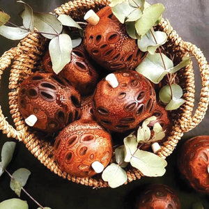 Go-For-Zero-Australia-Banksia-Pods-Australia-Aroma-Pod-Diffuser-Styled