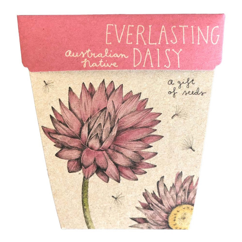 Go-For-Zero-Australia-Sow-N-Sow-Australia-Everlasting-Daisy-Seed-Gift