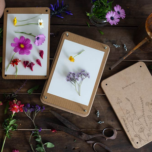 Go-For-Zero-Australia-Sow-N-Sow-Flower-Giant-Wildflower-Styled