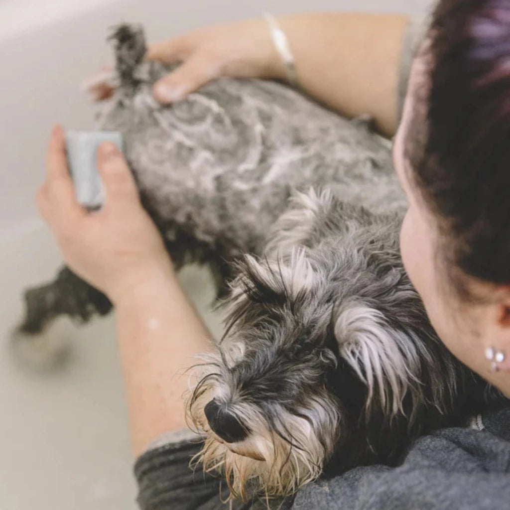 Go-For-Zero-Australia-Ethique-New-Zealand-Bow-Wow-Nourishing-Solid-Dog-Shampoo-Bar-110g