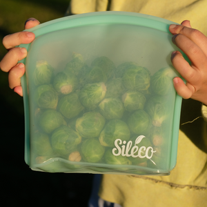 Sileco Large Silicone Zip Lock Bag 1.8 Litre 2 Colours Go For Zero