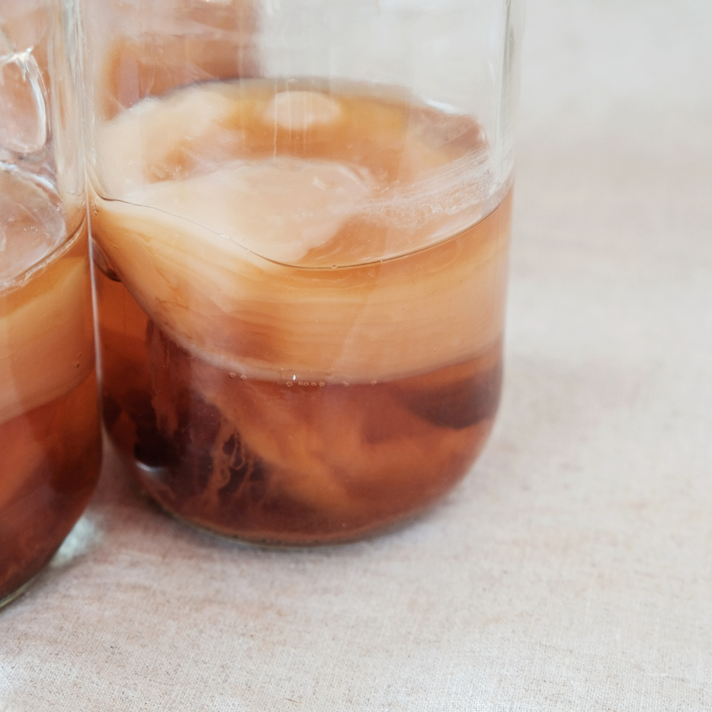 Go-For-Zero-Australia-Buchi-DIY-Kombucha-Kit