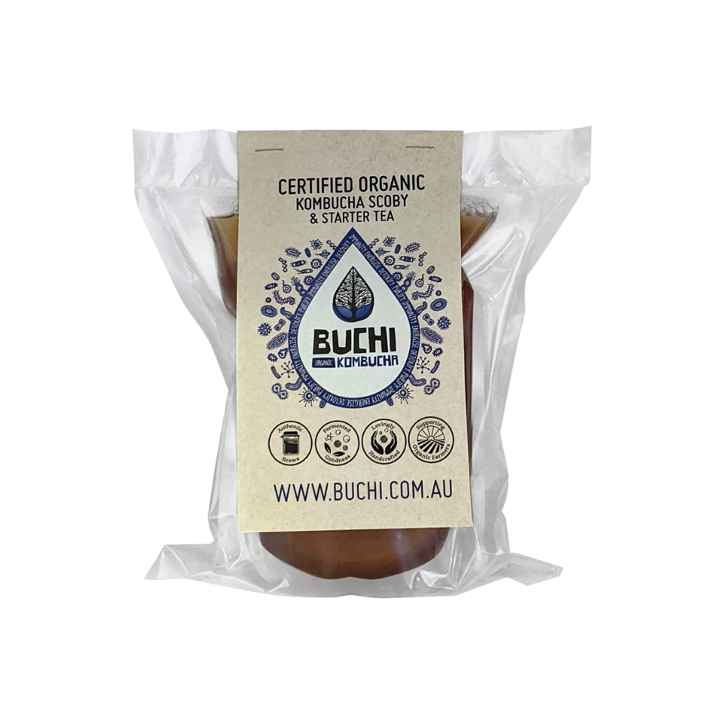BUCHI-Australia-Kombucha-Scoby