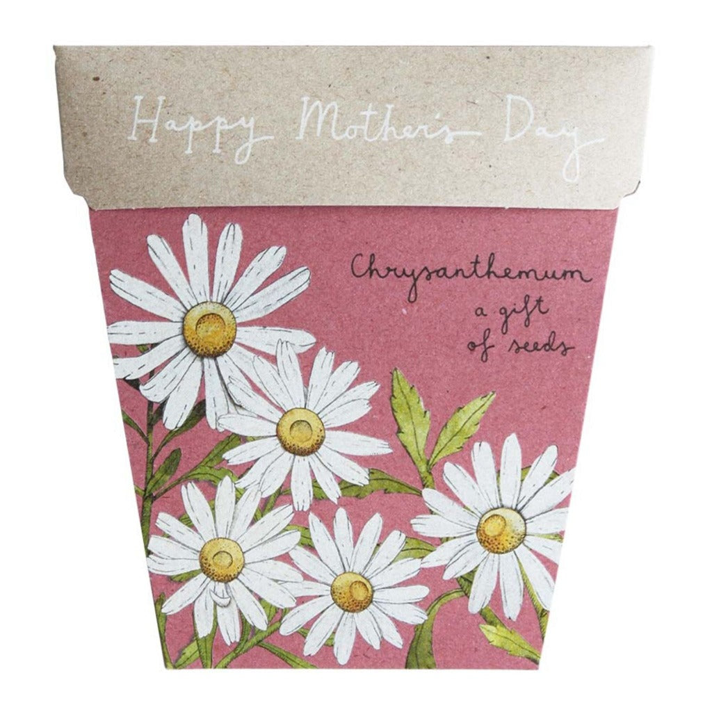 Go-For-Zero-Australia-Sow-n-Sow- Mother’s-Day-Chrysanthemum-Gift-Front