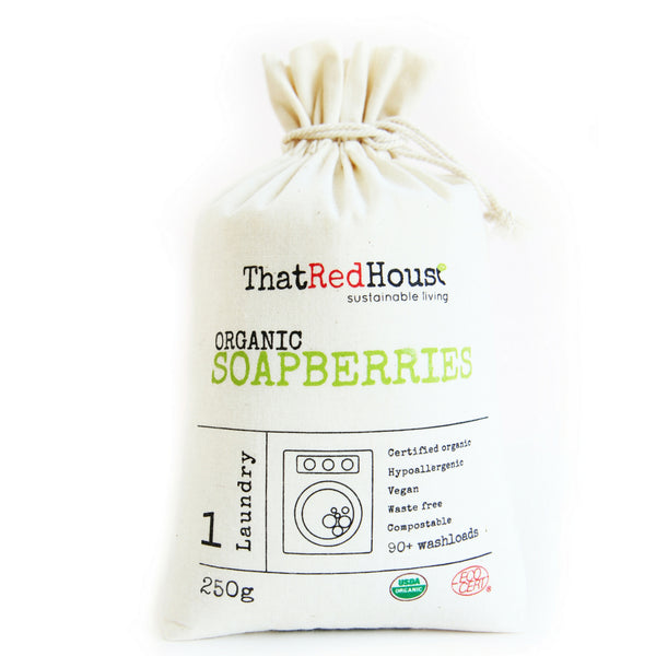 That Red House - Organic Soapberries - Washberries (250g, 500g or 1kg)