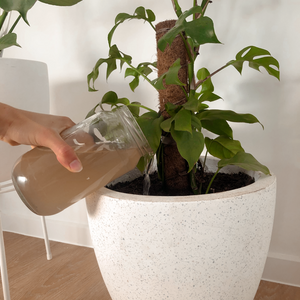 Urban-Composter-Australia-Apartment-Composting-Bucket-Styled